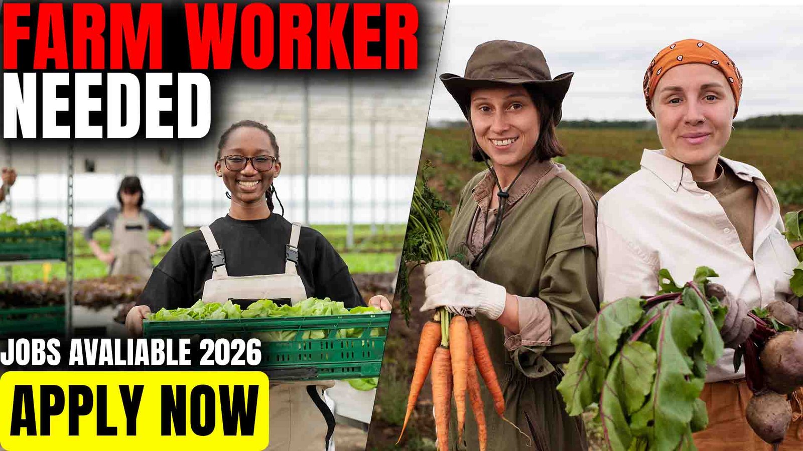 Farm Worker Jobs in Canada 2026: Fruit Farm Labourer at Silver Valley Farms
